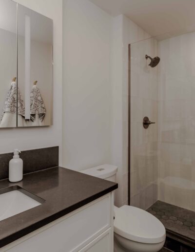 A modern bathroom with a black countertop, a white sink, a soap dispenser, a toilet, and a glass-enclosed shower with dark hexagonal floor tiles and beige wall tiles.